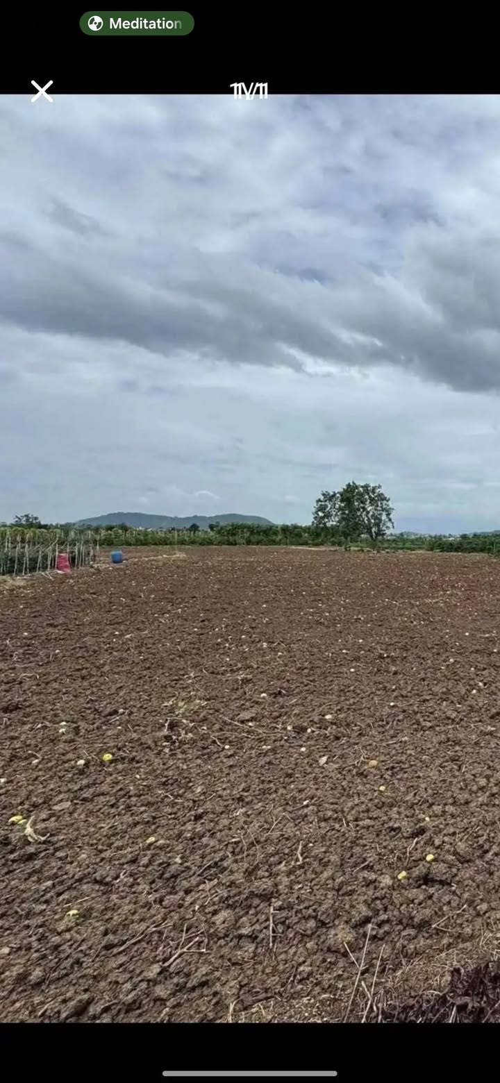 Đất nền Tân Hội 7200m² giá 1.15 tỷ - Sổ hồng chính chủ, mặt tiền đẹp!