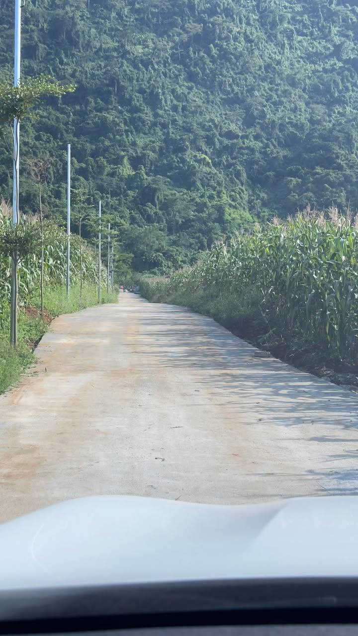 Đất nền Phong Quang Vị Xuyên 2000m² giá 700 triệu - Gần đường bê tông rộng rãi!