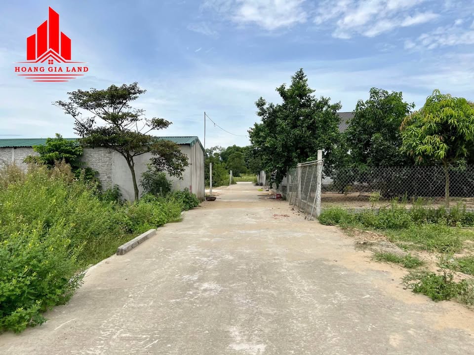 Đất nền Nghi Phong 165m² giá thỏa thuận - Mặt tiền rộng, tiện ích đầy đủ!