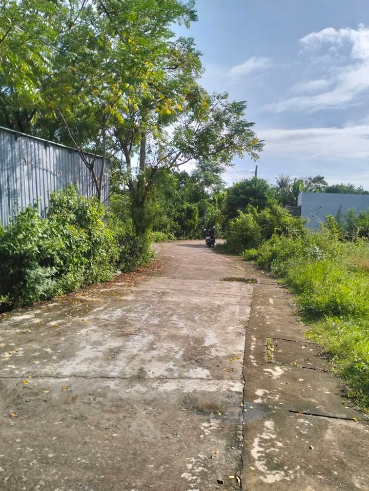 Đất Hòa Phước 206m² giá 2.6 tỷ - Gần trục chính Tân Hạnh, đầu tư sinh lời!