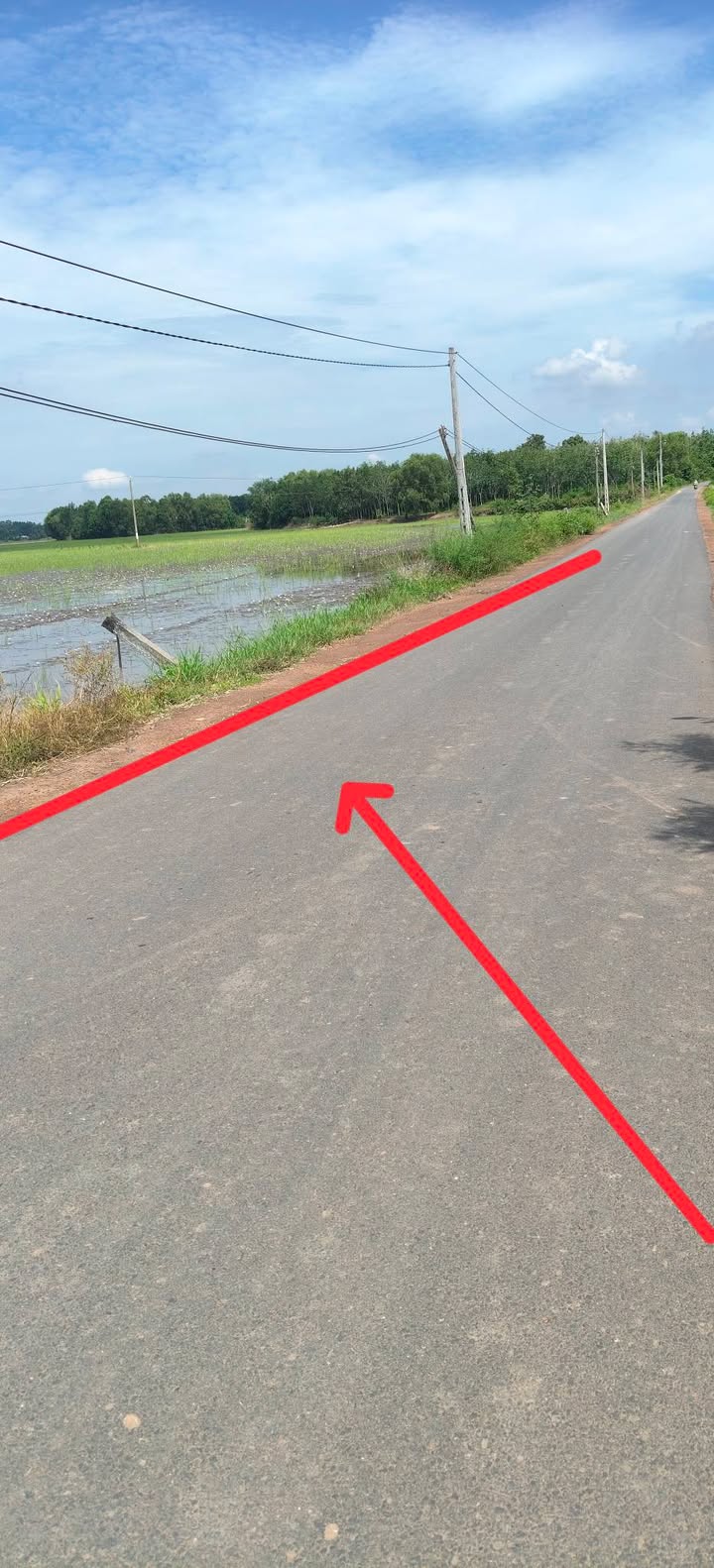 Đất nền Phước Vinh, Châu Thành, Tây Ninh 3040m² giá 1.35 tỷ - Đầu tư sinh lời ngay!