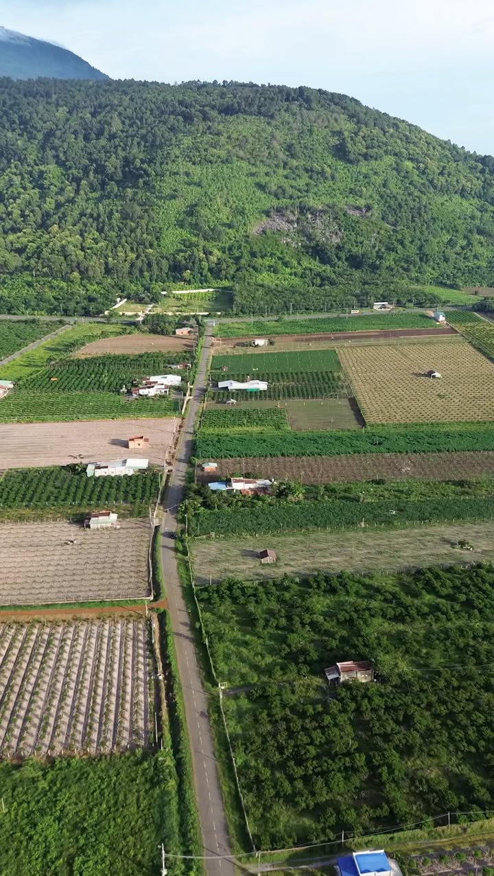 Đất nền Thạnh Tân 1100m² giá 9.216 tỷ - Mặt tiền lớn, tiềm năng kinh doanh!