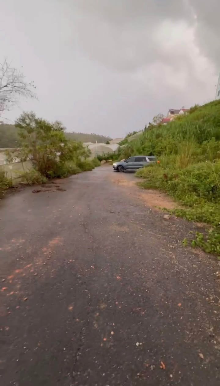 Đất nền Phước Thành, Đà Lạt 294m² giá 9.8 tỷ - Sổ riêng chính chủ!