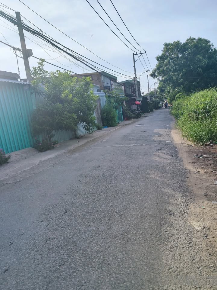 Kho xưởng Tân Nhựt 789,6m² giá 15 tỷ - Đầu tư sinh lời ngay!