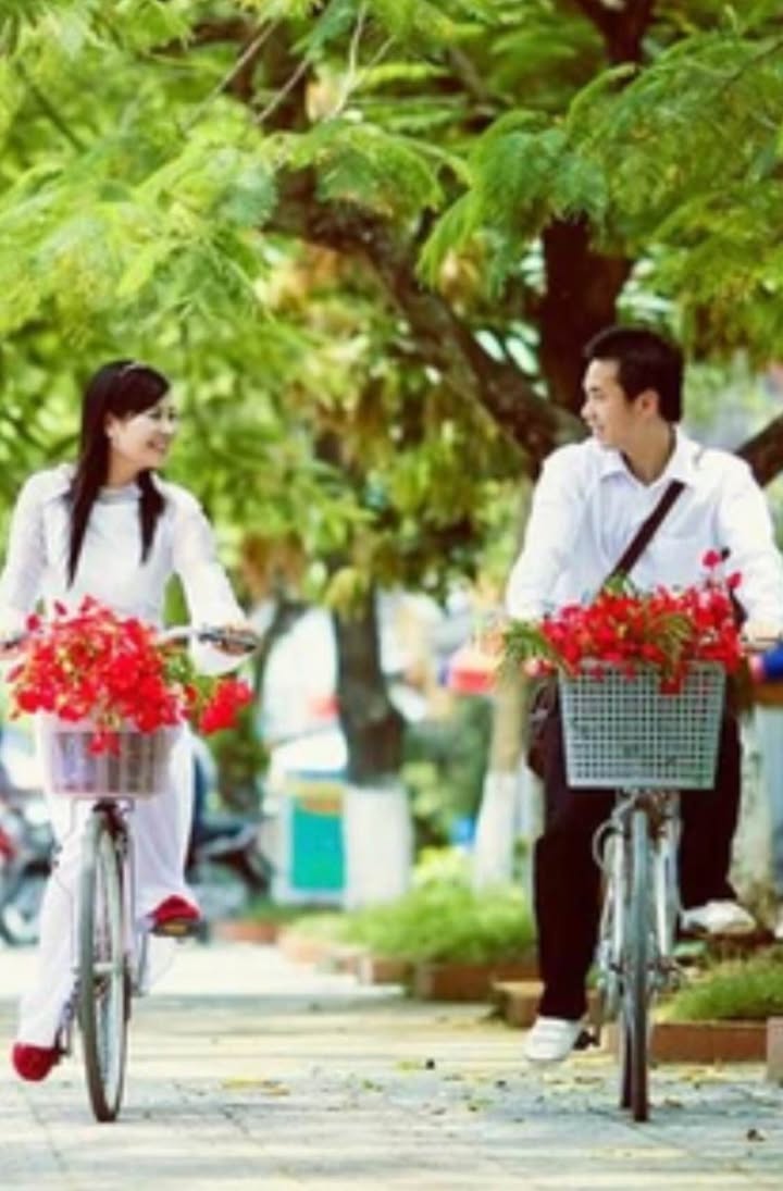 Đất Sổ Đỏ Liên Chiểu Đà Nẵng 185m² - Phù Hợp Xây Nhà Vườn, Nhà Trọ