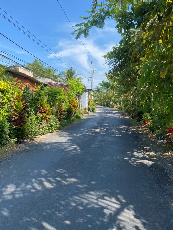 Đất mặt tiền đường N7, xã Tân Mỹ Chánh, 327m² giá 1.2 tỷ - Cơ hội đầu tư tốt!