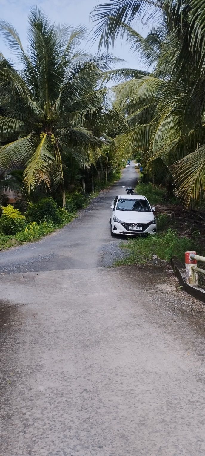 Đất nền Tân Phú Trung 180m² - Đầu tư sinh lợi cao!