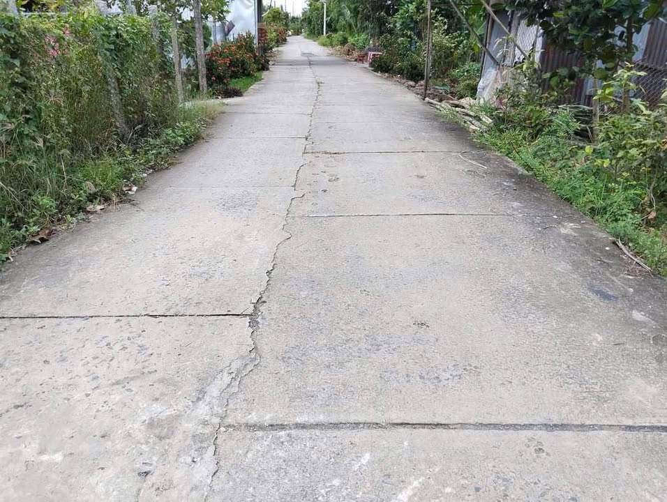 Đất nền 350m² xã Thanh Mỹ, Tháp Mười giá 550 triệu - Cơ hội đầu tư hấp dẫn!