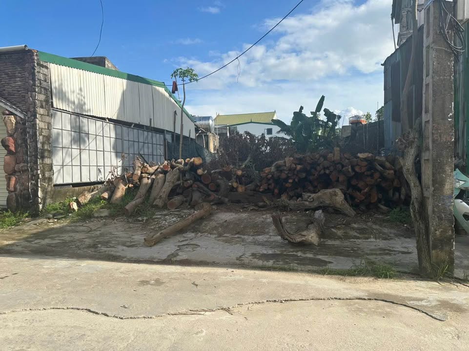 Đất kinh doanh mặt đường Xuân Tiến Nghi Kim 247.8m² giá 5 tỷ - Vị trí đắc địa cho đầu tư!