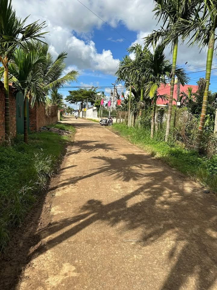 Đất nền Km 39 Quốc lộ 26, xã Ea Phê, 400m² giá chỉ 1 tỷ - Cơ hội đầu tư hấp dẫn!