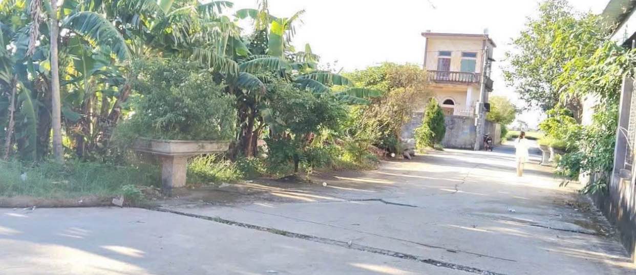 Đất nền Thái Giang, Thái Thụy 100m² giá 600 triệu - Đầu tư sinh lời nhanh!