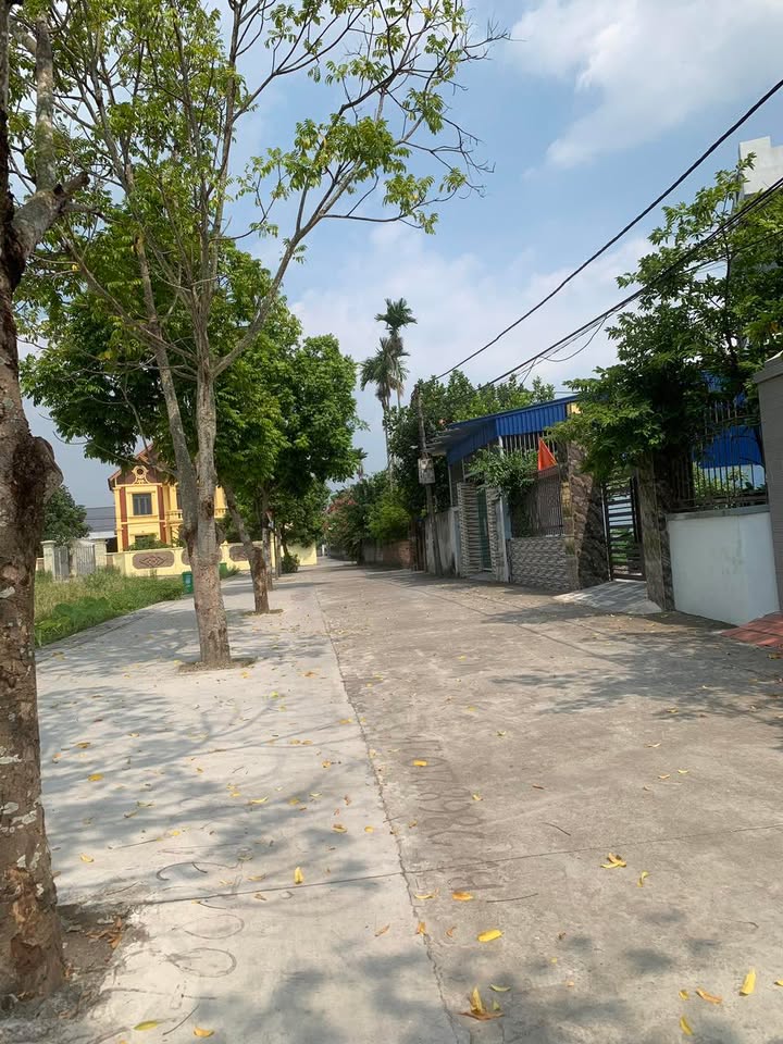 Đất nền An Hưng Hồng Bàng 500m² giá chỉ 2 tỷ - Vị trí đẹp, không lỗi phong thủy!