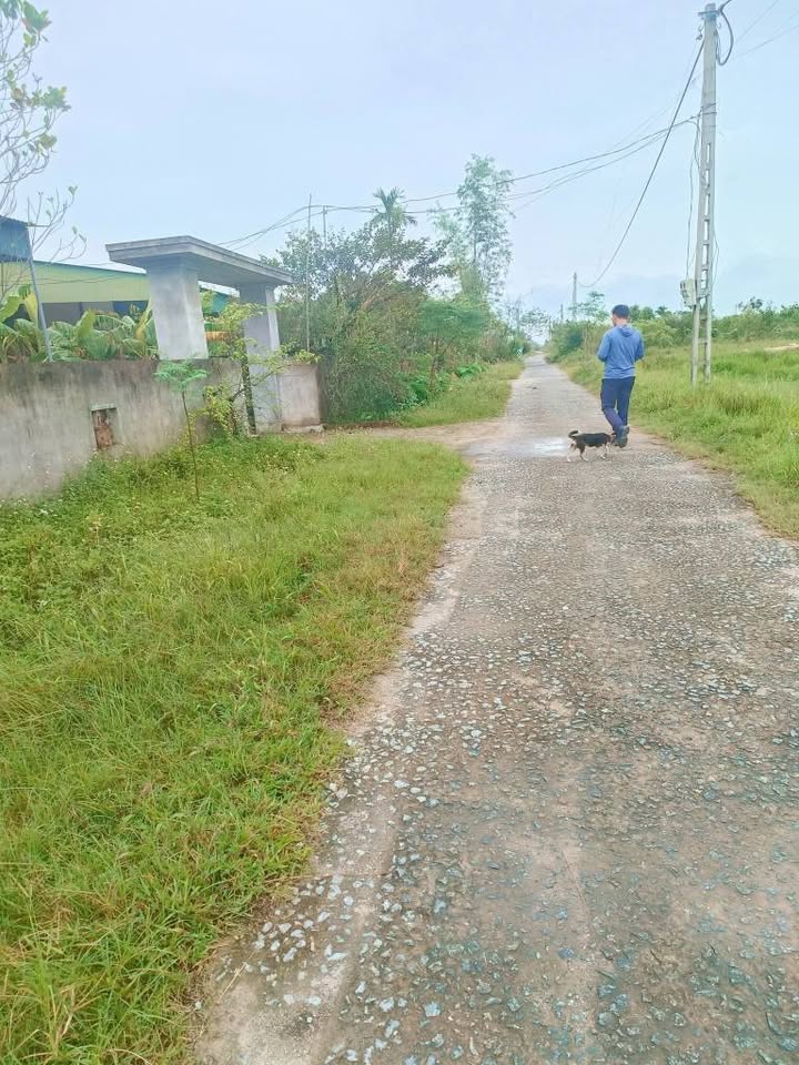 Đất nền Thôn Vĩnh Trung, xã Toàn Lưu, Thạch Hà 244m² giá 900 triệu - Cơ hội đầu tư hấp dẫn!