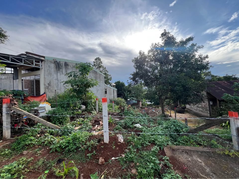 Đất mặt tiền Ngô Thì Nhậm Pleiku 135m² giá 2.4 tỷ - Đầu tư sinh lời ngay!