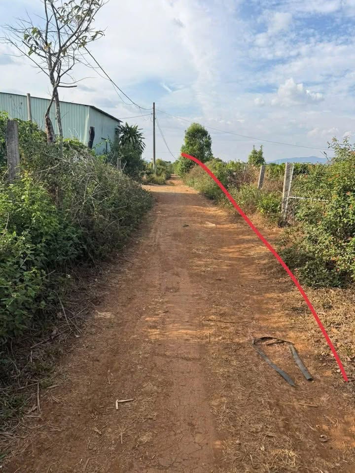 Đất nền Nguyên Kiệm Pleiku 880m² giá chỉ 460 triệu - Cơ hội đầu tư hấp dẫn!