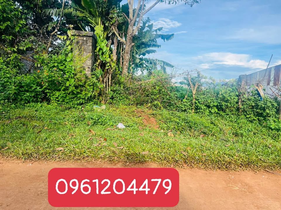 Đất nền 220m² tại đường Nguyễn Chí Thanh, Pleiku - Cơ hội đầu tư hấp dẫn!