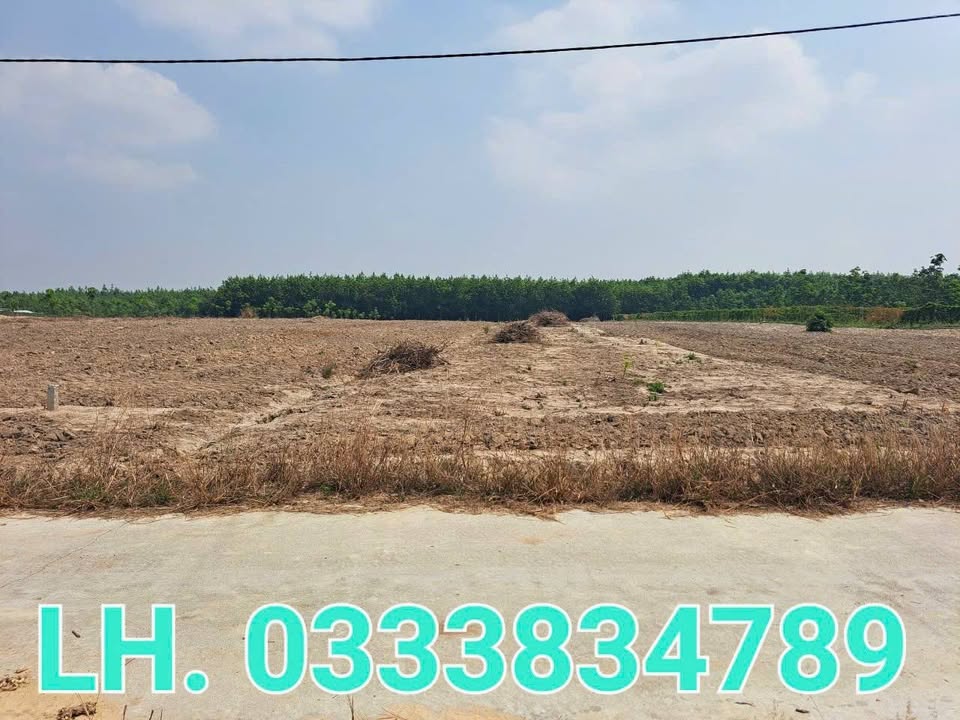 Đất nền thôn 4 xã Hòa Bình 2371m² - Hướng Nam, mặt tiền rộng