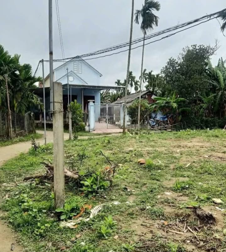 Đất thổ cư 3600m² tại xã Nghĩa Thương, Tư Nghĩa - Giá chỉ 500 triệu!