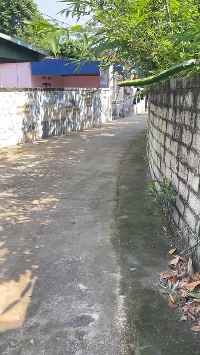 Đất nền Tân Hiệp Yên Thế 1000m² giá 1.3 tỷ - Phù hợp nghỉ dưỡng hoặc phân lô