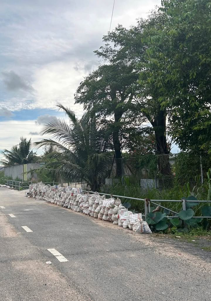 Đất mặt tiền đường Bến Lội 1000m² giá 7.8 tỷ - Đầu tư sinh lời ngay!