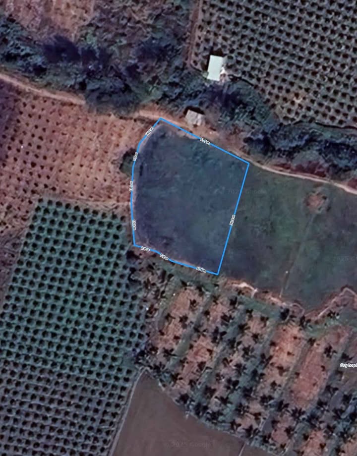 Đất lúa 1251m² thôn Phú Điền xã Hàm Hiệp giá 520 triệu - Cơ hội đầu tư tuyệt vời!