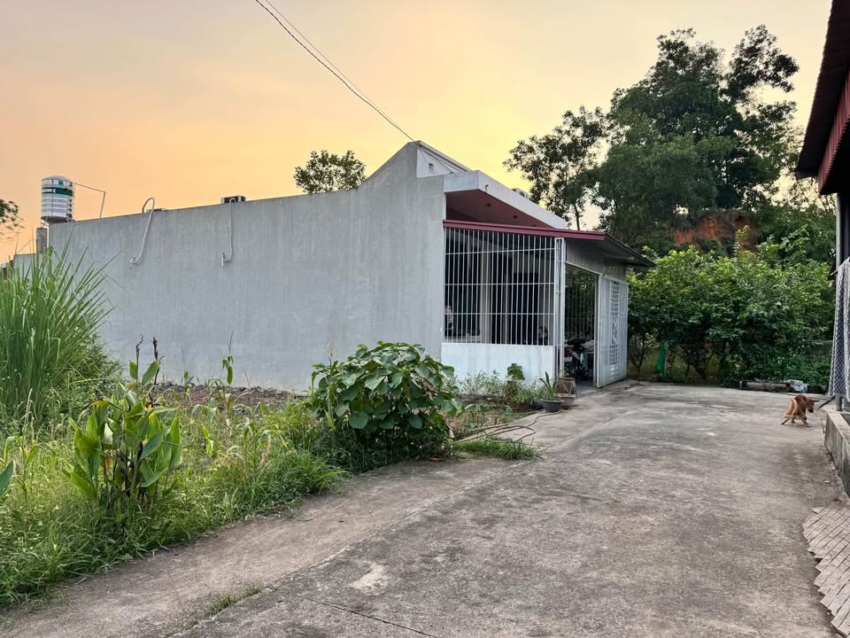 Đất nền Thịnh Đán 118.5m² giá 2.2 tỷ - Đầu tư sinh lời ngay!