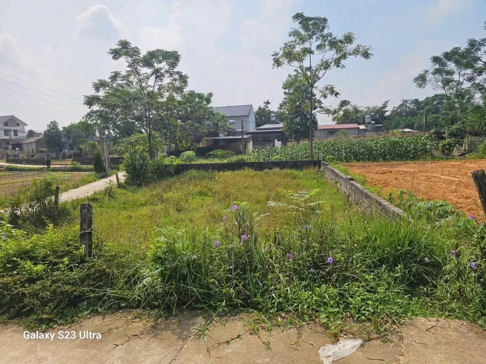 Lô đất vàng Phổ Yên 146m² giá 800 triệu - Cơ hội đầu tư sinh lời!