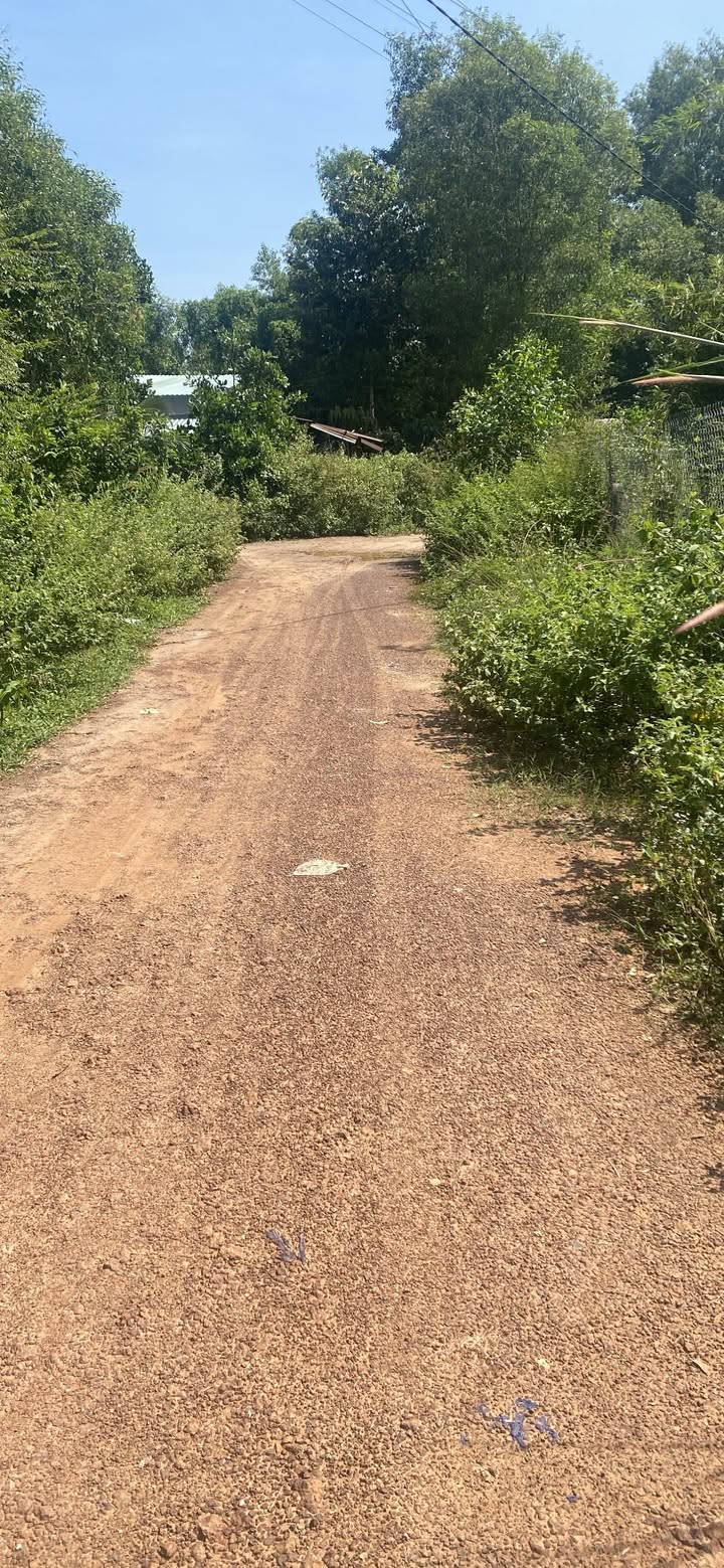 Đất 5000m² tại Gia Huỳnh, Trảng Bàng, Tây Ninh - Bán gấp, chính chủ!