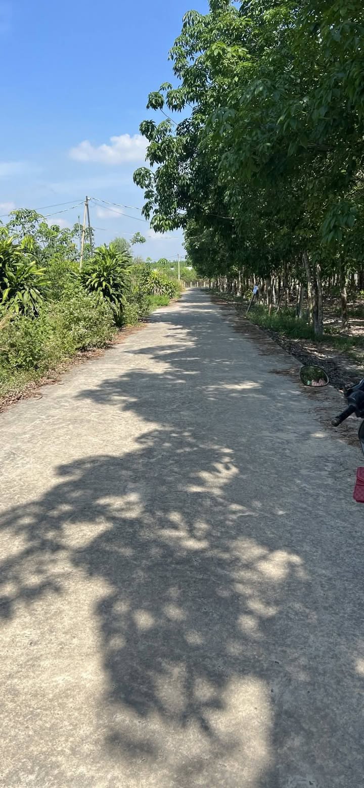 Đất nền Kp2 Dĩ An 175m² giá 500 triệu - Cơ hội đầu tư hấp dẫn!