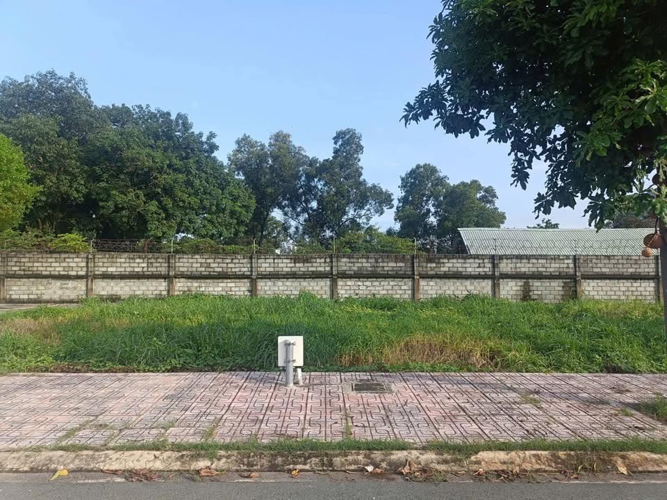 Đất nền Tân Hiệp, Tân Uyên 80m² giá 990 triệu - Cơ hội đầu tư hấp dẫn!