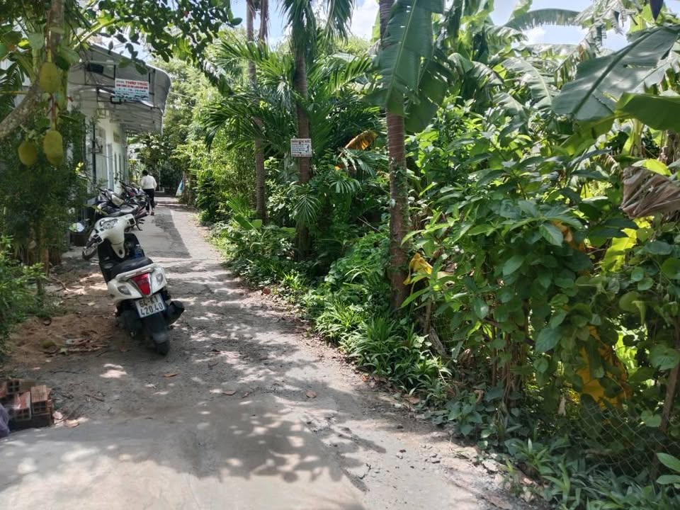 Đất nền Thường Thạnh, Cái Răng 219m² giá 750 triệu - Cần bán gấp trong tuần!