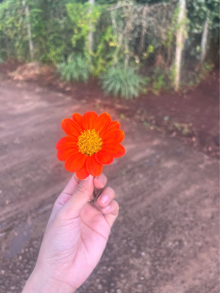 Đất nền đẹp tại xã Hòa Phú, Gia Lai 540m² - Giá thỏa thuận, cơ hội đầu tư hấp dẫn!