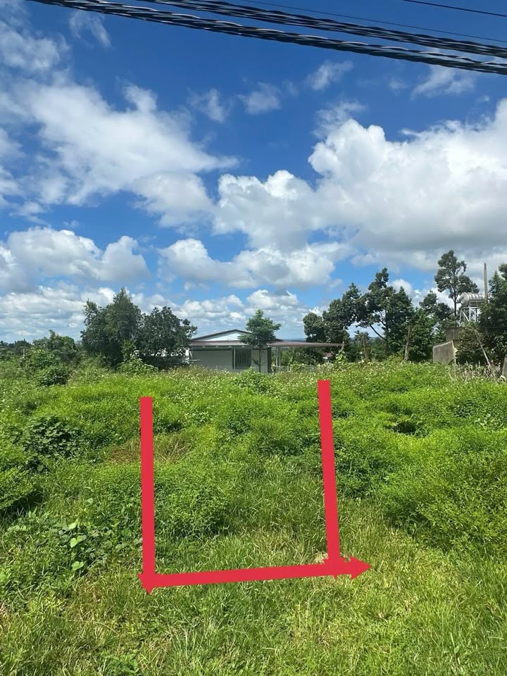 Đất thổ cư Hòa Thắng, Buôn Ma Thuột 150m² chỉ 999 triệu - Cơ hội đầu tư lý tưởng!