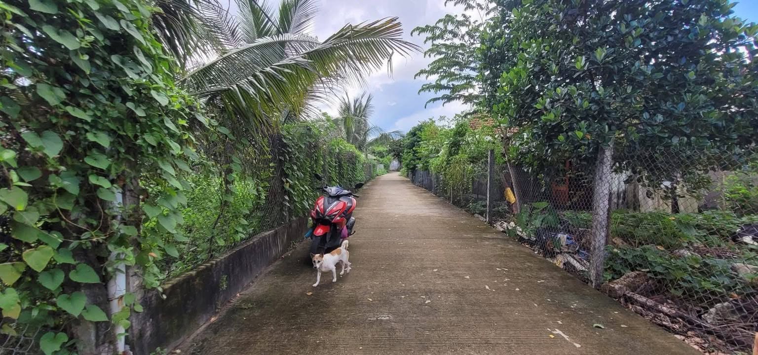 Lô đất tặng nhà thô cấp 4 tại La Hà, Quảng Ngãi - Giá chỉ 700 triệu!