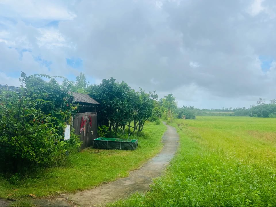 Đất nền xã Quế Mỹ 100m² giá 200 triệu - Sổ hồng chính chủ, đầu tư hấp dẫn!