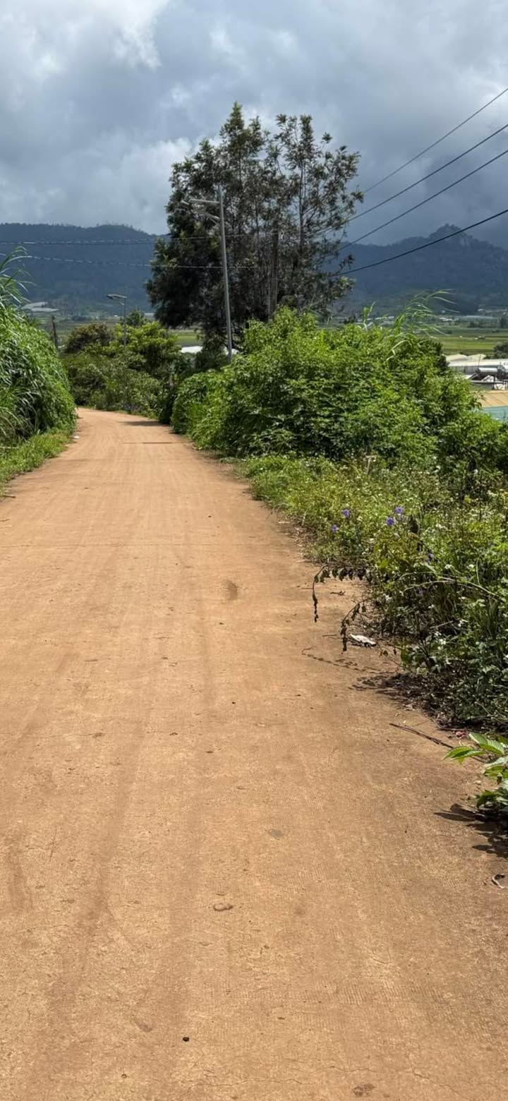 Đất nền Quảng Lập, Đơn Dương 300m² giá 610 triệu - Không khí trong lành, sổ đỏ chính chủ!