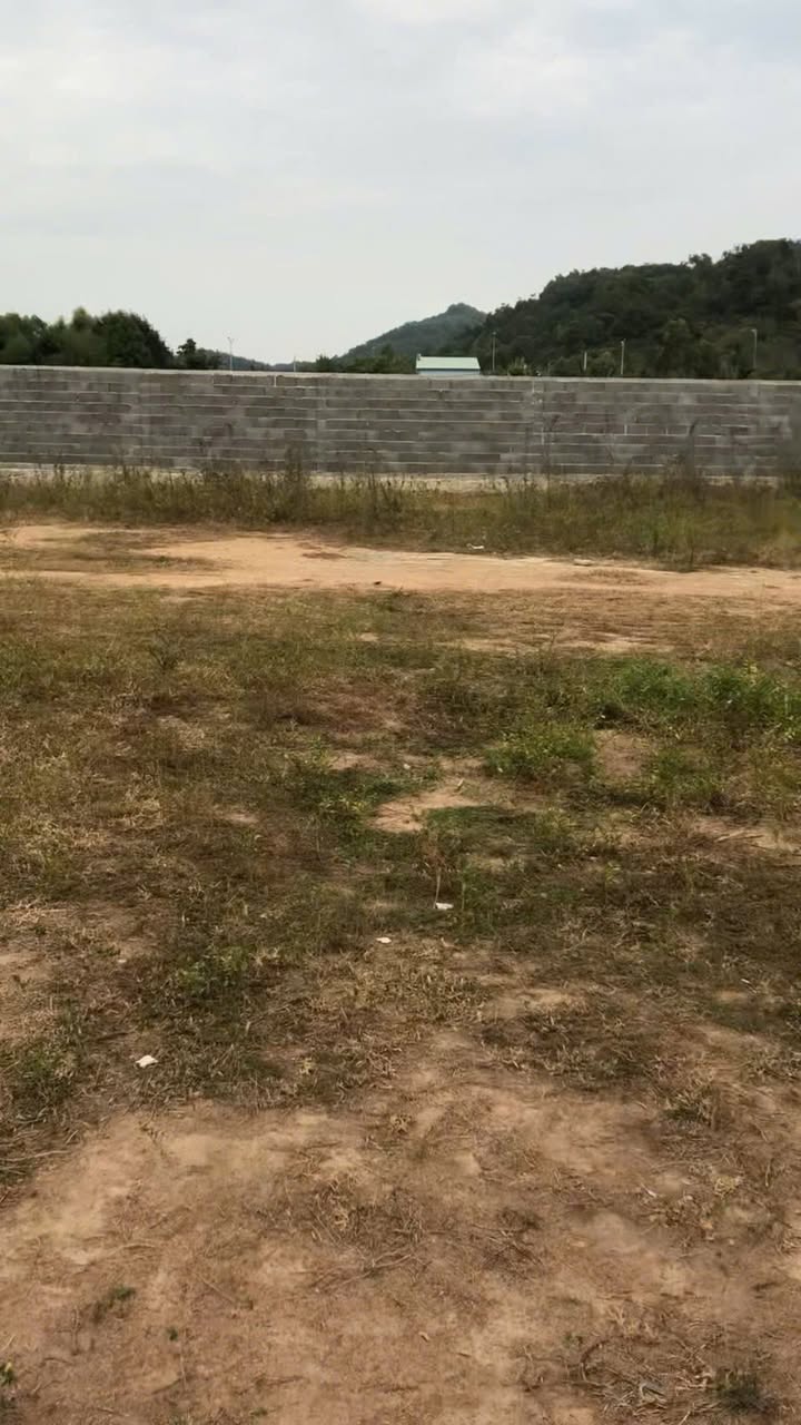 Đất liền kề Tân Hải, Phú Mỹ 500m² giá 2 tỷ - Tiềm năng đầu tư vượt trội!