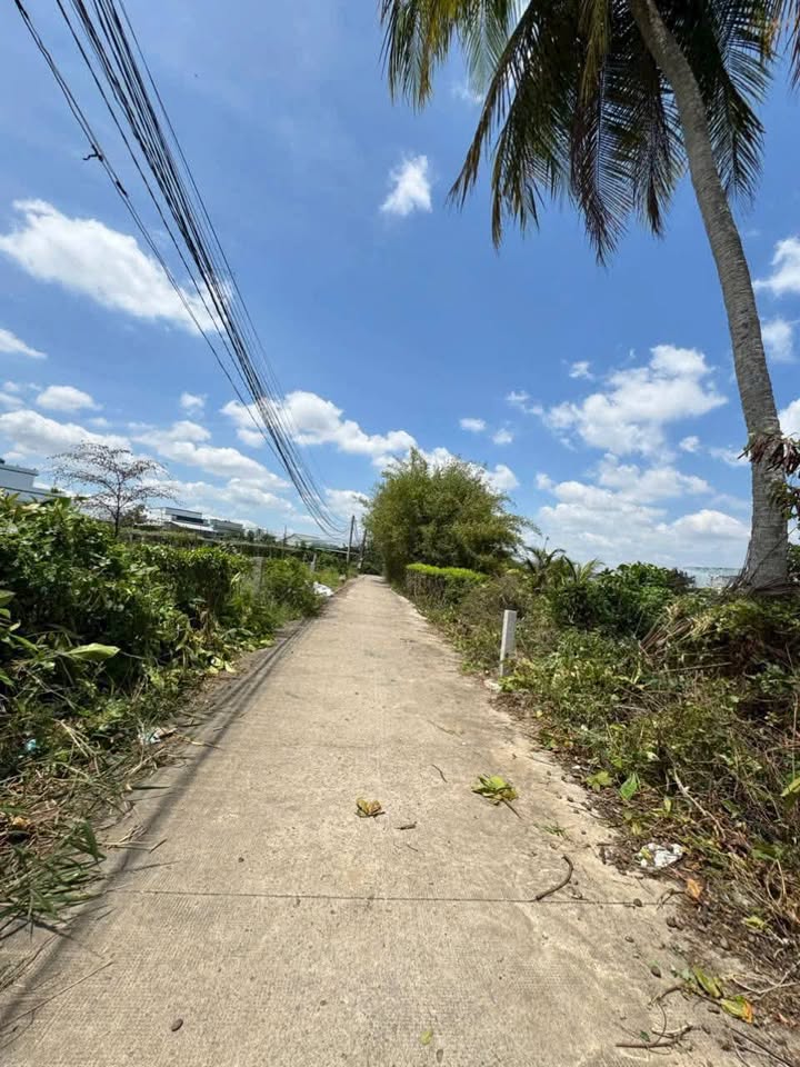 Đất vườn chính chủ tại xã Mỹ Lộc, Cần Giuộc, 651m² giá 1.689 tỷ - Cơ hội đầu tư tuyệt vời!