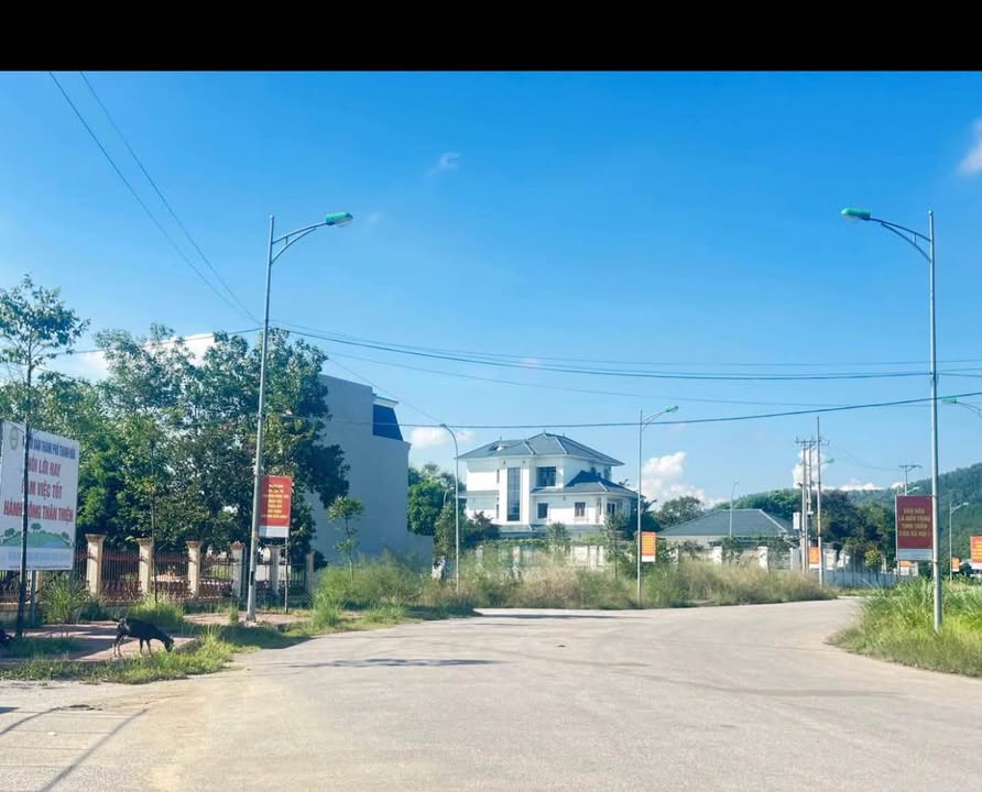 Đất nền phường Đông Tân 115m² giá 2.5 tỷ - Đầu tư sinh lời ngay!