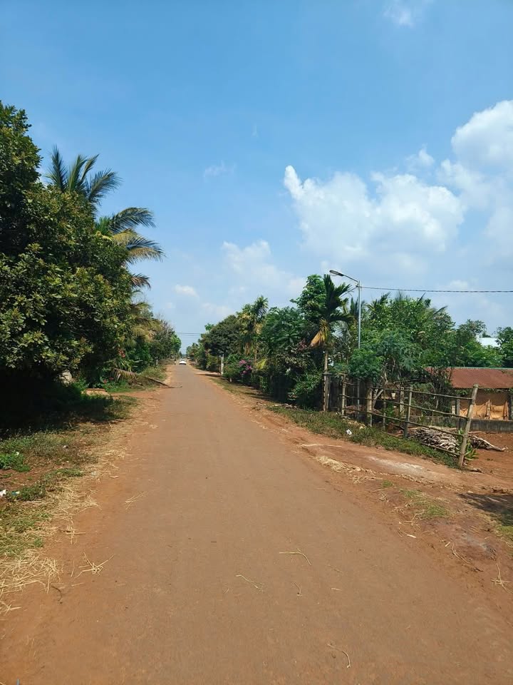 Đất nền Cư Bao Buôn Hồ 290m² giá chỉ 400 triệu - Cơ hội đầu tư tuyệt vời!