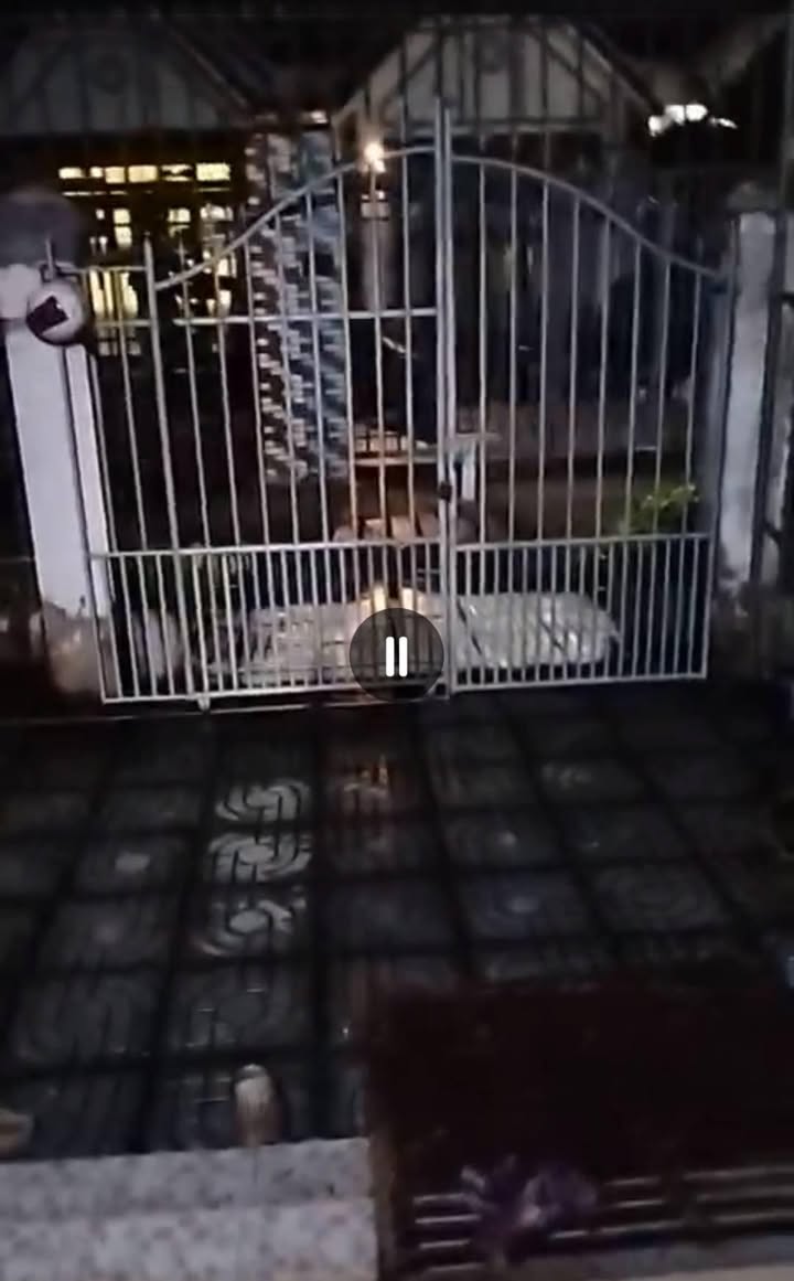 Nhà mặt tiền hẻm thông đường xe tải, Phú Tân, Bến Tre 125m² giá 1.9 tỷ - Sổ hồng chính chủ!