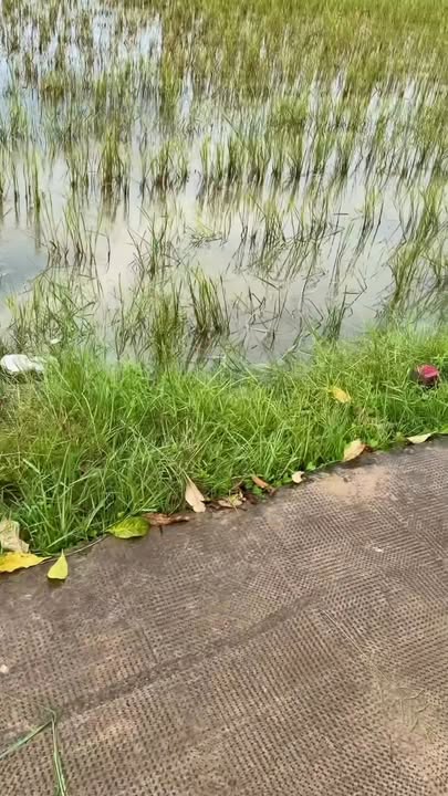 Đất thổ cư Hòa Khánh Tây 175m² giá chỉ 860 triệu - Cắt lỗ sâu chưa từng có!