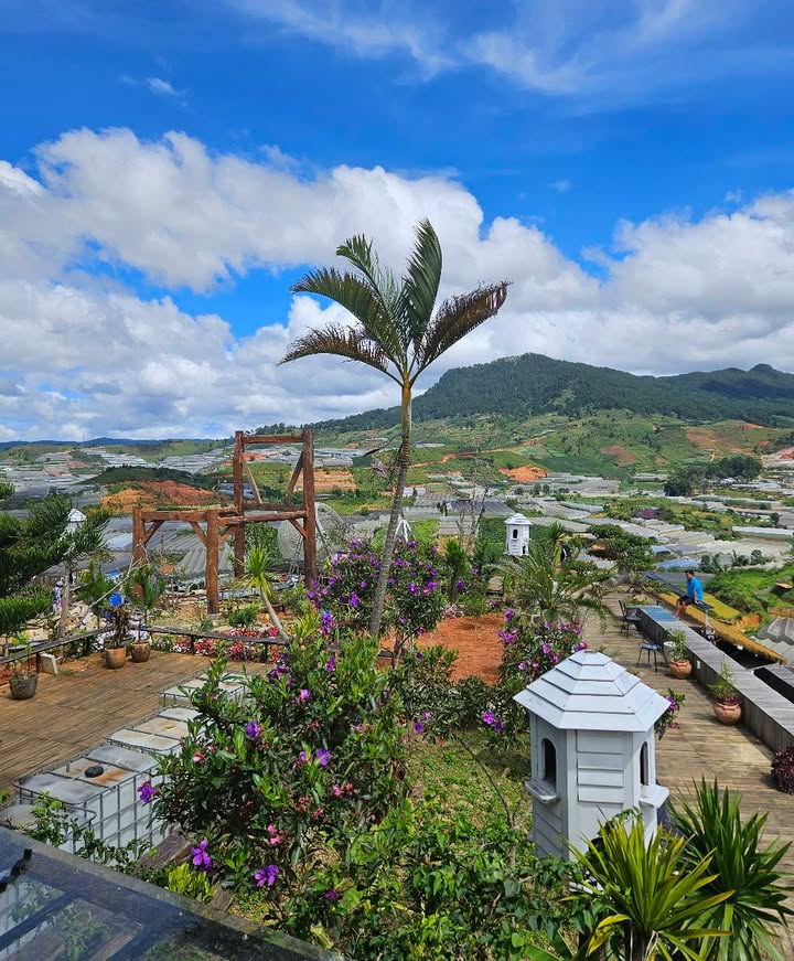 Đất nền phường Langbiang 3000m² - View đỉnh, vị trí vàng!