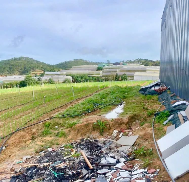 Đất nền đường Cao Thắng, Đà Lạt 115m² giá 1.25 tỷ - Sổ đỏ chính chủ!