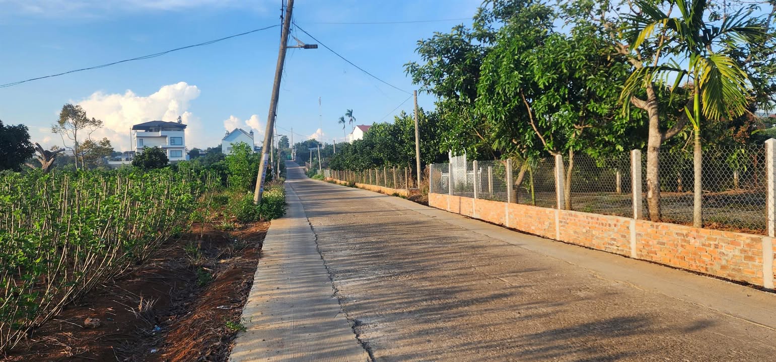 Đất 2 mặt tiền Thôn Thanh Trì 1600m² giá 5.2 tỷ - Cơ hội đầu tư tuyệt vời!