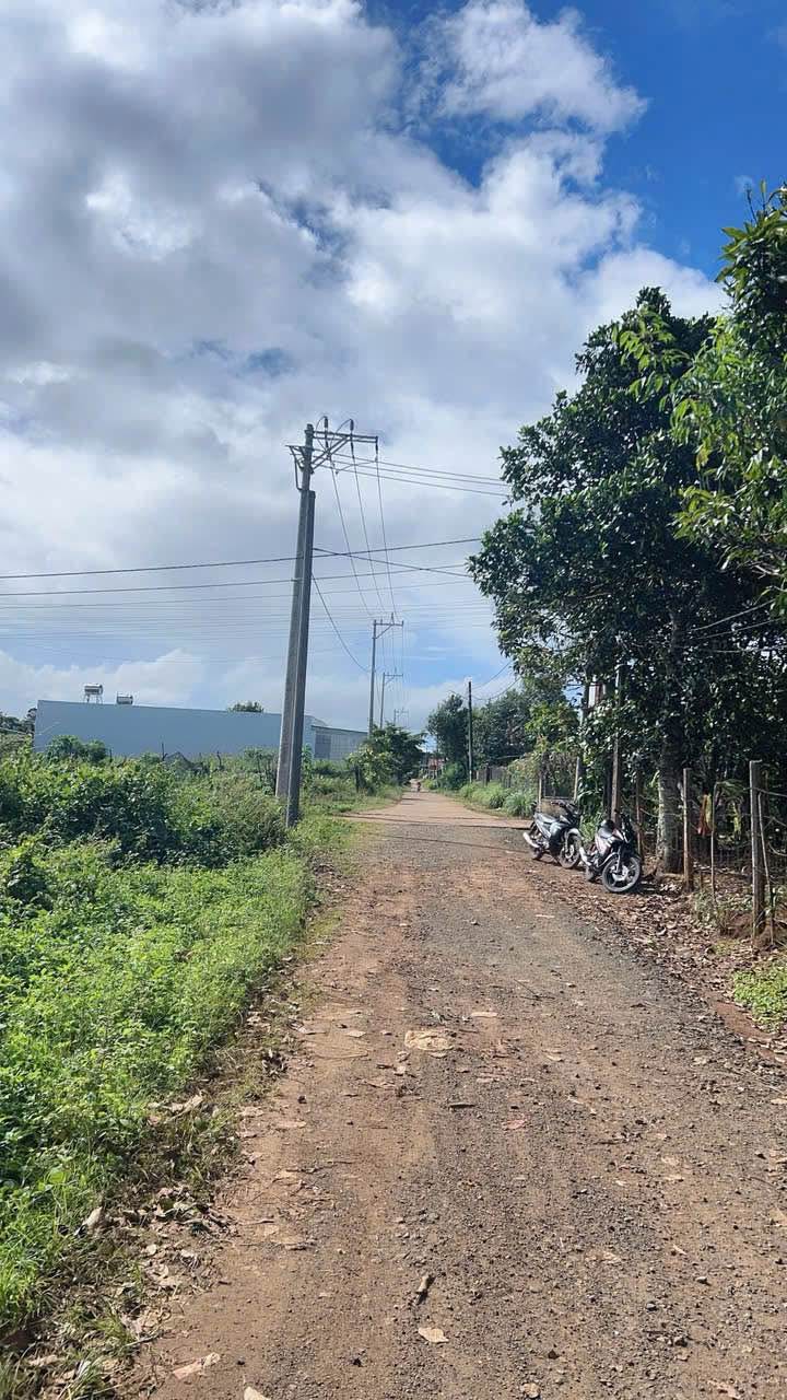 Đất nền Hẻm 104 Trần Văn Ơn, Pleiku 130m² giá chỉ 495 triệu - Vị trí đẹp, dân cư đông!