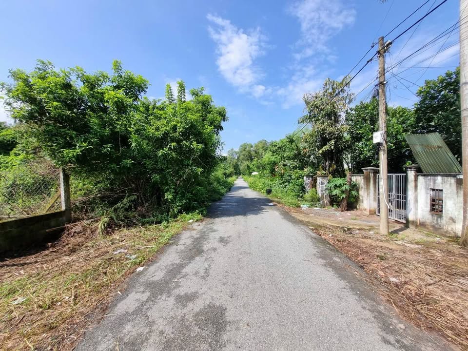 Đất thổ cư xã Nhuận Đức, Củ Chi 385m² giá 3 tỷ - Mặt tiền đường nhựa thông thoáng!