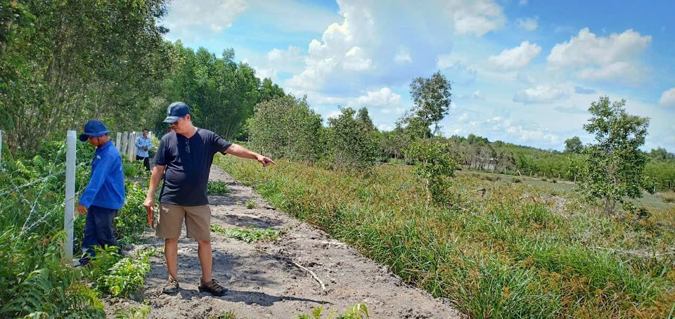 Đất trồng cây 4200m² mặt tiền đường 619, Củ Chi - Chính chủ cần bán gấp!