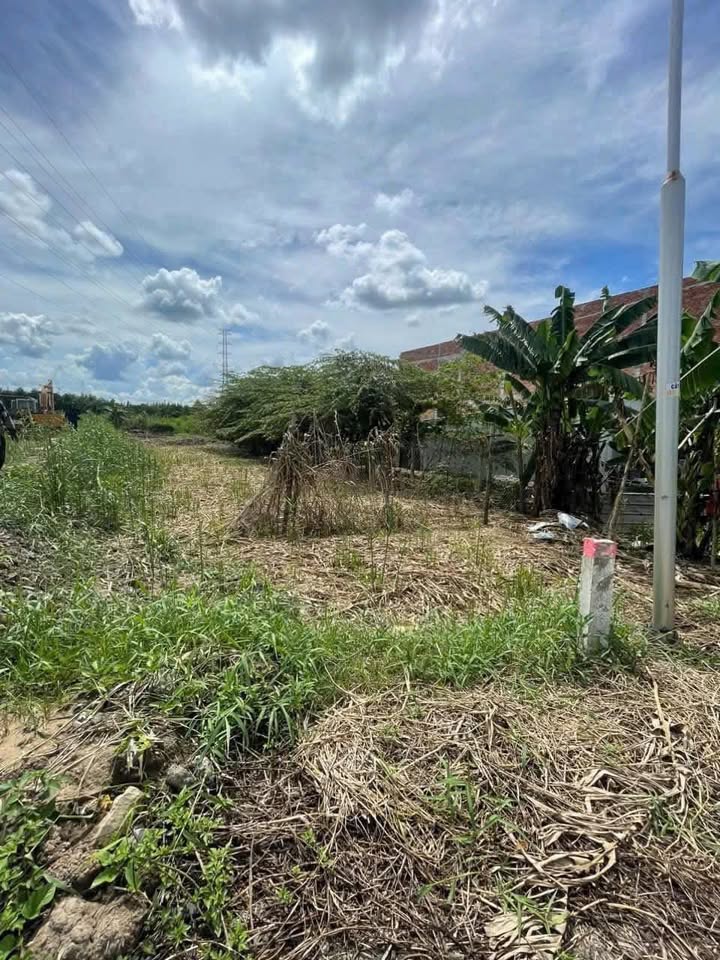 Đất nền mặt tiền Lộ Hậu Tân Thạnh Tây 719m² giá 4.2 tỷ - Tiềm năng kinh doanh cao!