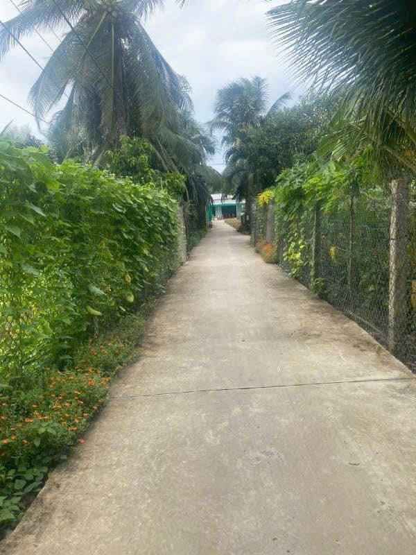 Đất nền Phú Túc, Châu Thành, Bến Tre 500m² giá 2.5 tỷ - Vị trí đắc địa, thuận lợi đầu tư!